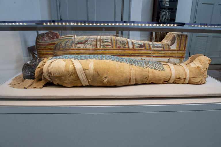 Side view of mummy in front of a Sarcophagus in a glass case
